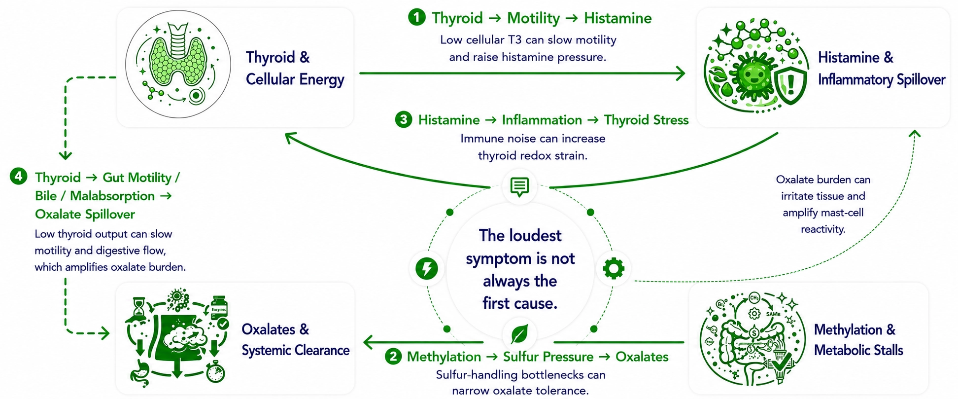 Chain-reaction map showing how Thyroid, Histamine, Oxalates, and Methylation hubs connect and influence each other
