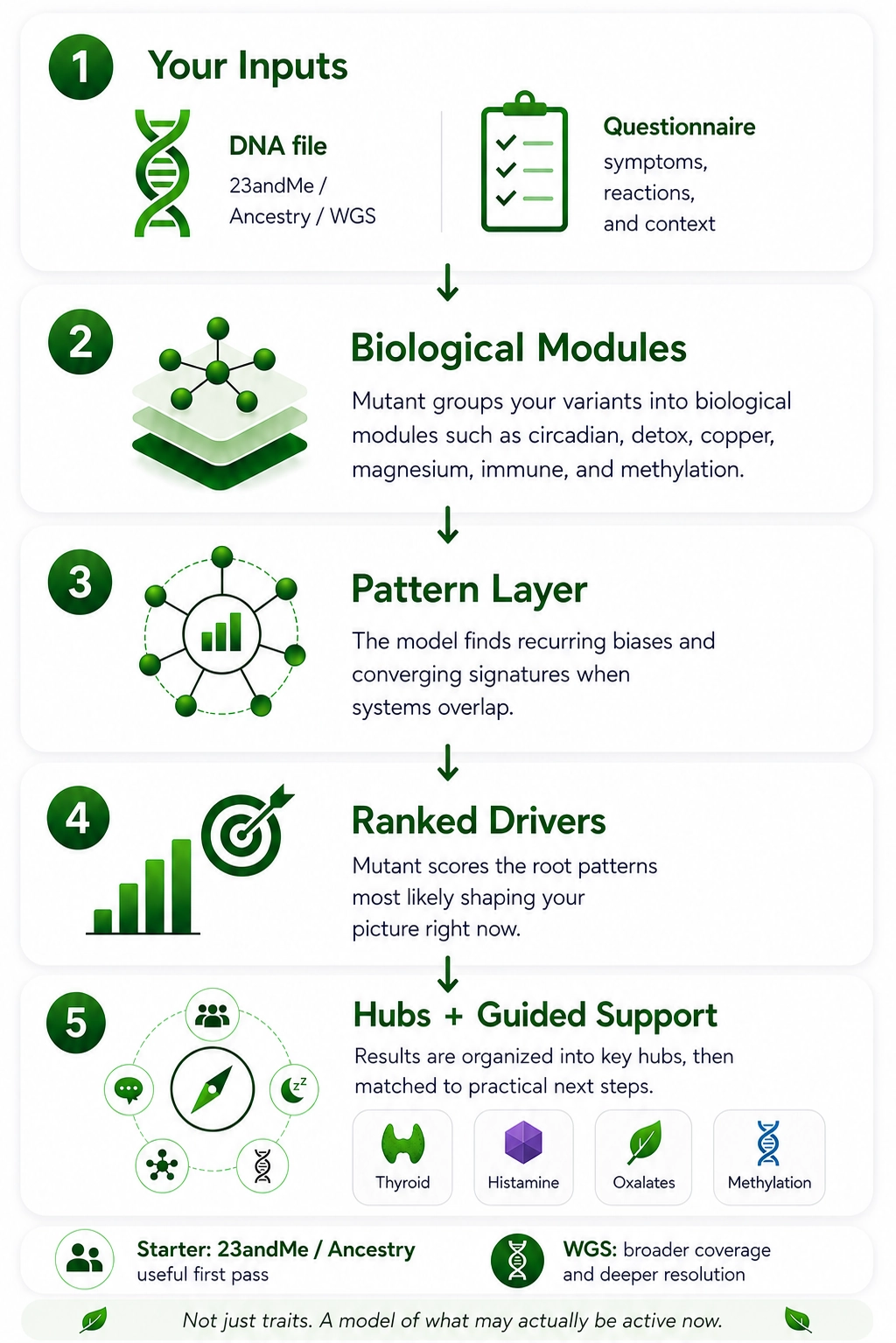 How Mutant models your architecture