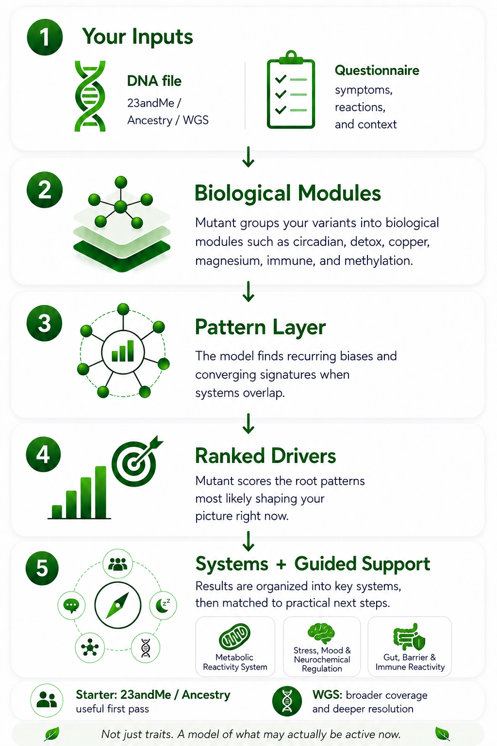 How Mutant models your architecture