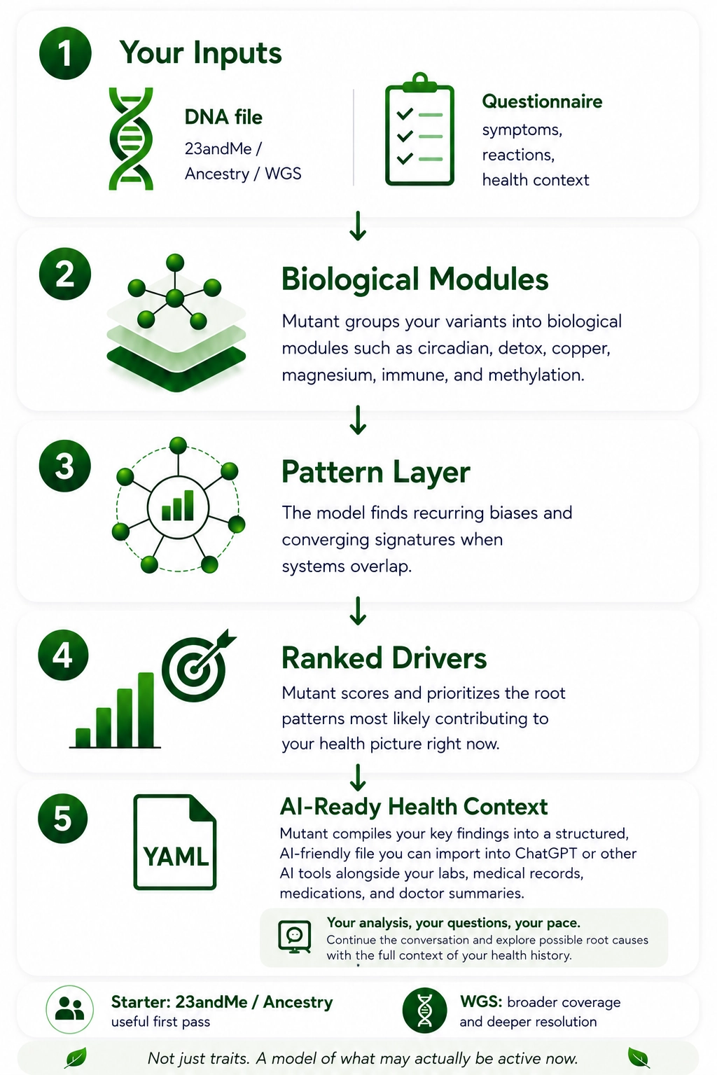 How Mutant models your architecture